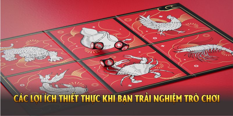 Các lợi ích thiết thực khi bạn trải nghiệm trò chơi bầu cua tôm cá tại Nohu