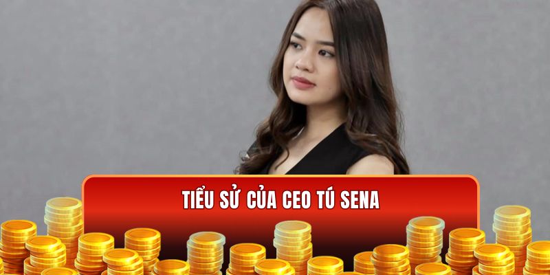 Tiểu sử CEO Tú Sena